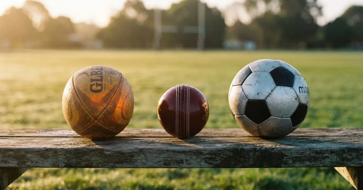 Three balls of different kinds side by side on a wooden bench