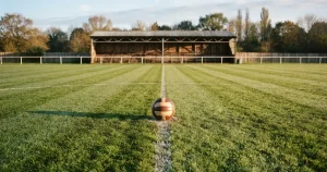 Top betting in New Zealand 2026 — paths, prices and the real choice